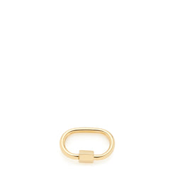 Leonardo Joker gold Lora Clip&Mix 021818