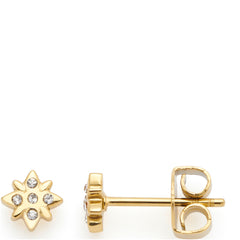 Leonardo Ohrstecker gold Campagnola CIAO 024464