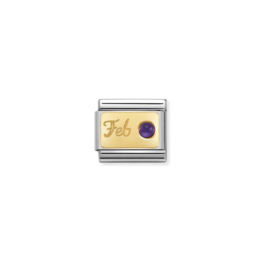 Nomination COMPOSABLE CLASSIC MONATSSTEINE Element aus Edelstahl, mit 18Kt Gelbgold und Edelsteinen verziert (02_Februar AMETHYST)