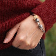 Trollbeads das Original Himmlische Wünsche TAGBE-30202