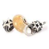 Trollbeads das Original Celestial Wishes Kit TAGBO-02148