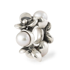 Trollbeads das Original Silber Bead Perlen der Geduld TAGBE-00308