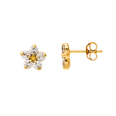 Xenox Ohrschmuck XG14K4066G