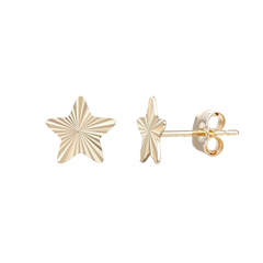 Xenox Ohrschmuck XG9K4018G