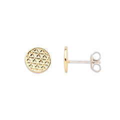Xenox Ohrschmuck XS2911G