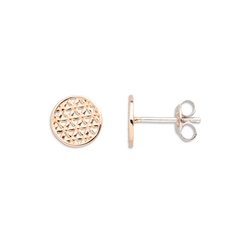 Xenox Ohrschmuck XS2911R