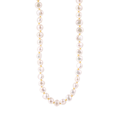 Xenox Halskette XS91542G