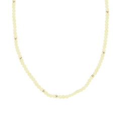 Xenox Halskette XS91638G