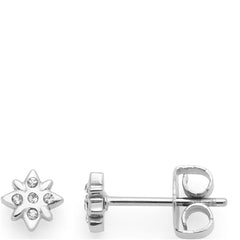 Leonardo Ohrstecker Campagnola CIAO 024462