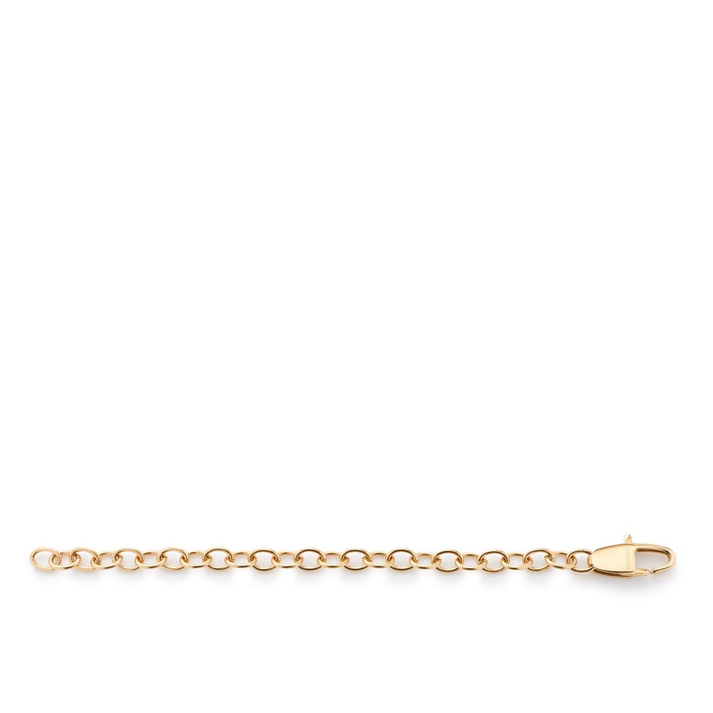 Leonardo Verlängerungskette 10cm gold 040951