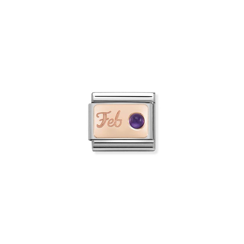 Nomination Composable Classic STEIN MONAT Edelstahl und 9kt Gold (02_Februar AMETHYST)