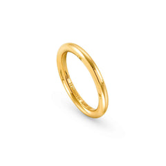 Nomination ENDLESS Ring aus 925er Silber (012_(Gelb vergoldet)-008_Grosse 17)