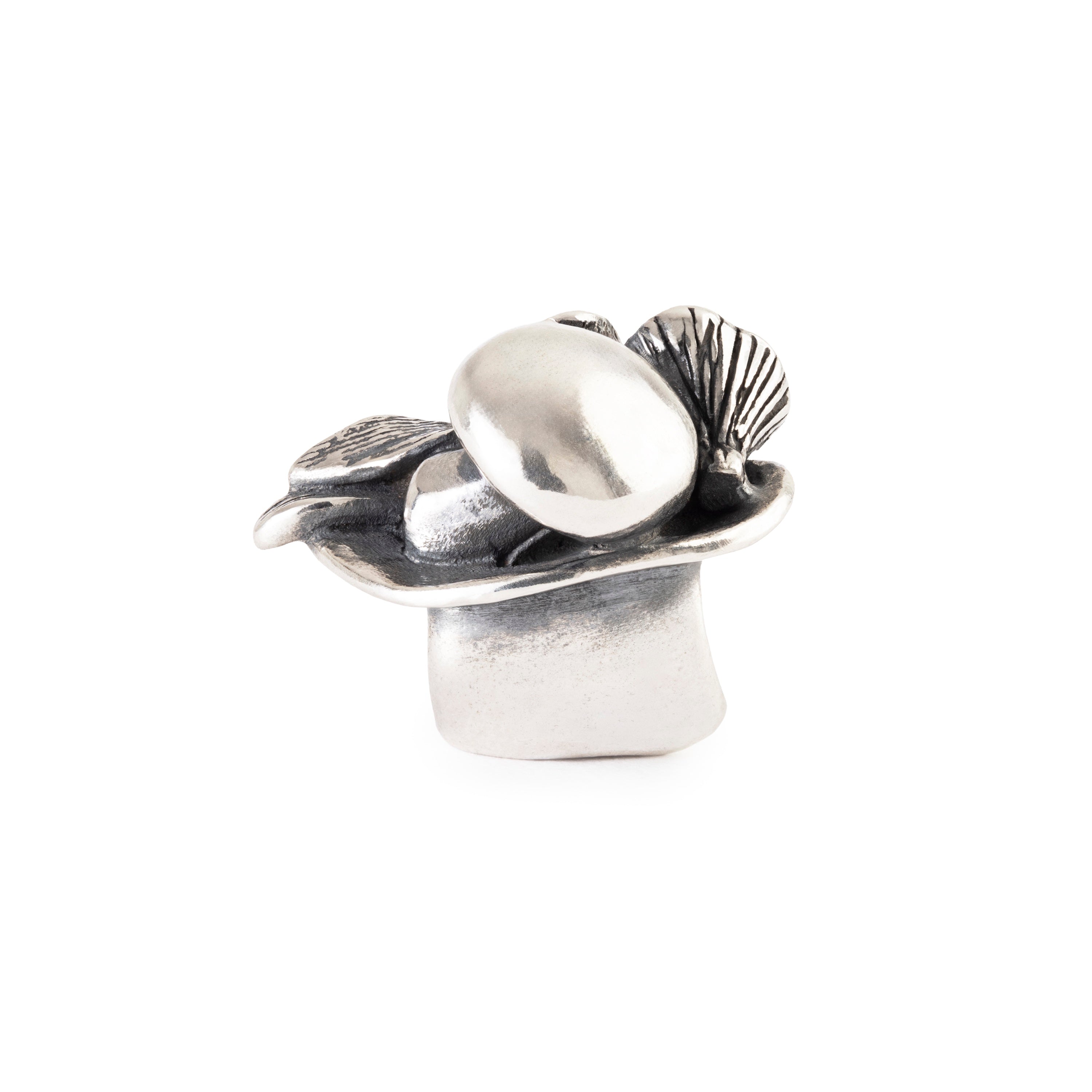 Trollbeads das Original Hut des Sammlers TAGBE-40143
