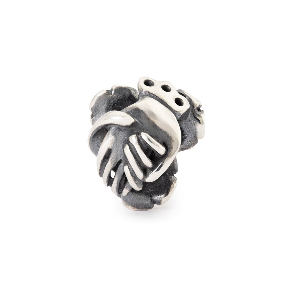 Trollbeads das Original Miteinander verbunden TAGBE-40145