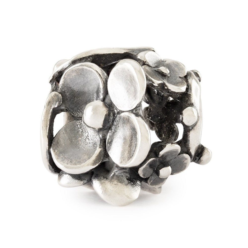 Trollbeads Das Original Silber Bead Blütenpracht TAGBE-50048 – Jewels By CHIARA In Den Pasing