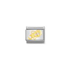 Nomination Comp, Classic STERNZ, Edelstahl, 18K-Gold und Cubic Zirc, (11_Wassermann) 030302/11