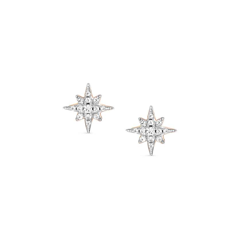 Nomination SWEETROCK ROMANCE EDITION Ohrstecker aus 925er Silber, mit Cubic Zirkonia verziert (066_(Windrose, Rosegold)) 148024/066